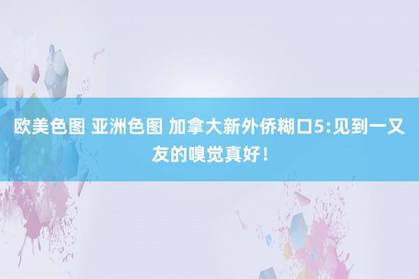 欧美色图 亚洲色图 加拿大新外侨糊口5:见到一又友的嗅觉真好!