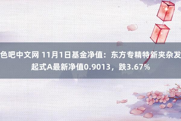 色吧中文网 11月1日基金净值：东方专精特新夹杂发起式A最新净值0.9013，跌3.67%