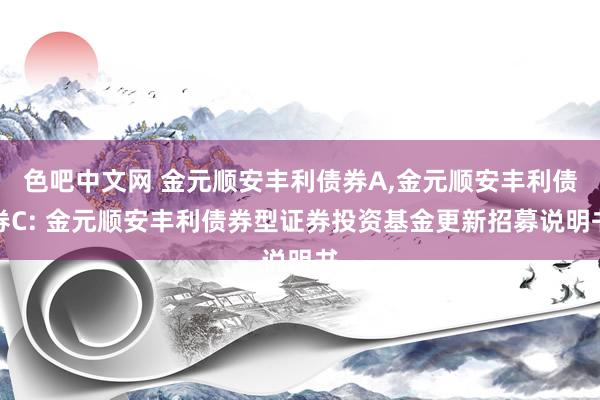 色吧中文网 金元顺安丰利债券A,金元顺安丰利债券C: 金元顺安丰利债券型证券投资基金更新招募说明书
