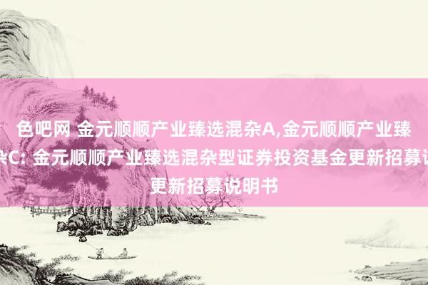 色吧网 金元顺顺产业臻选混杂A,金元顺顺产业臻选混杂C: 金元顺顺产业臻选混杂型证券投资基金更新招募说明书