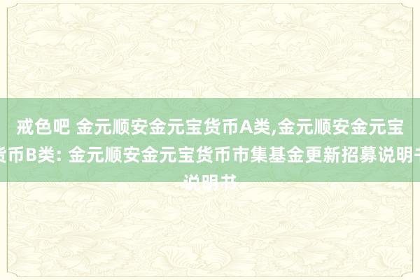 戒色吧 金元顺安金元宝货币A类,金元顺安金元宝货币B类: 金元顺安金元宝货币市集基金更新招募说明书