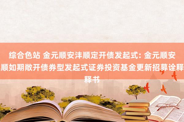 综合色站 金元顺安沣顺定开债发起式: 金元顺安沣顺如期敞开债券型发起式证券投资基金更新招募诠释书