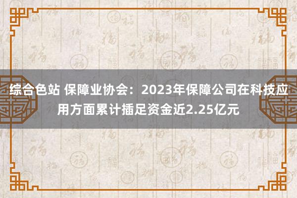 综合色站 保障业协会：2023年保障公司在科技应用方面累计插足资金近2.25亿元