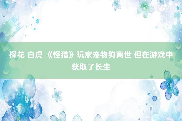 探花 白虎 《怪猎》玩家宠物狗离世 但在游戏中获取了长生