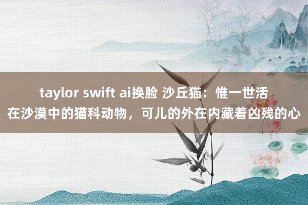 taylor swift ai换脸 沙丘猫：惟一世活在沙漠中的猫科动物，可儿的外在内藏着凶残的心