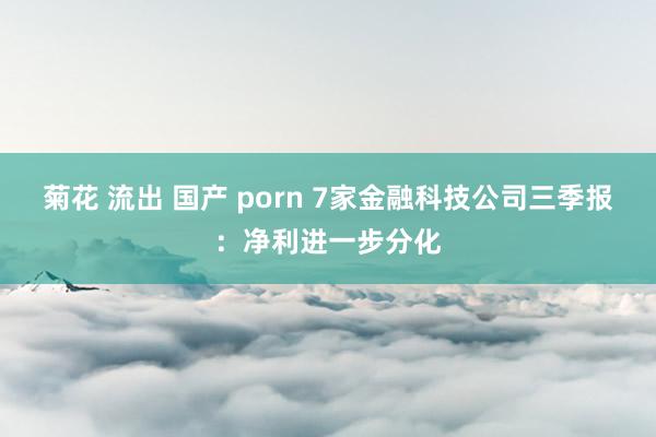 菊花 流出 国产 porn 7家金融科技公司三季报：净利进一步分化