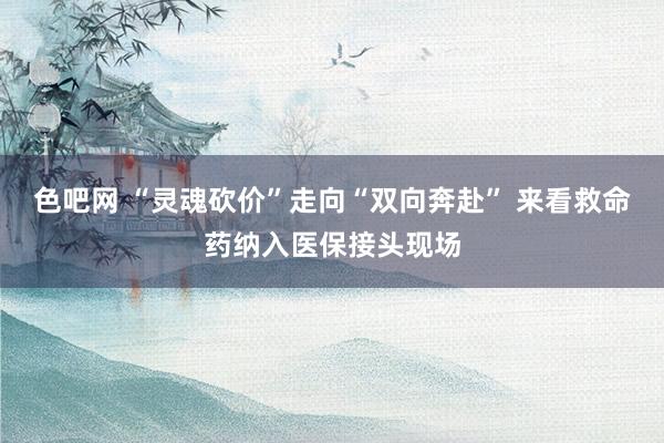 色吧网 “灵魂砍价”走向“双向奔赴” 来看救命药纳入医保接头现场