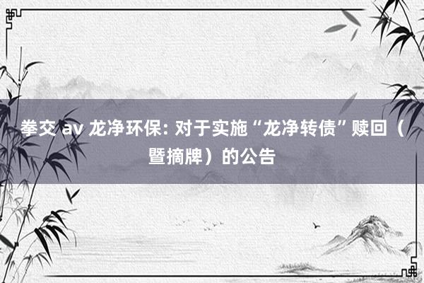 拳交 av 龙净环保: 对于实施“龙净转债”赎回(暨摘牌)的公告