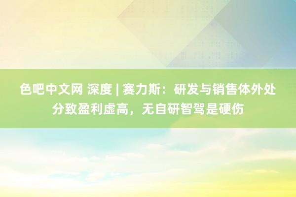 色吧中文网 深度 | 赛力斯：研发与销售体外处分致盈利虚高，无自研智驾是硬伤