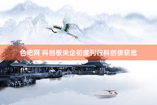 色吧网 科创板央企初度刊行科创债获批