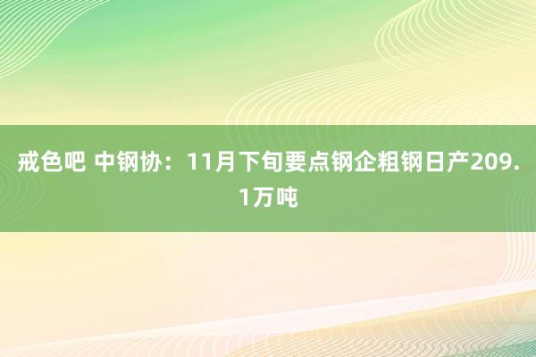 戒色吧 中钢协：11月下旬要点钢企粗钢日产209.1万吨