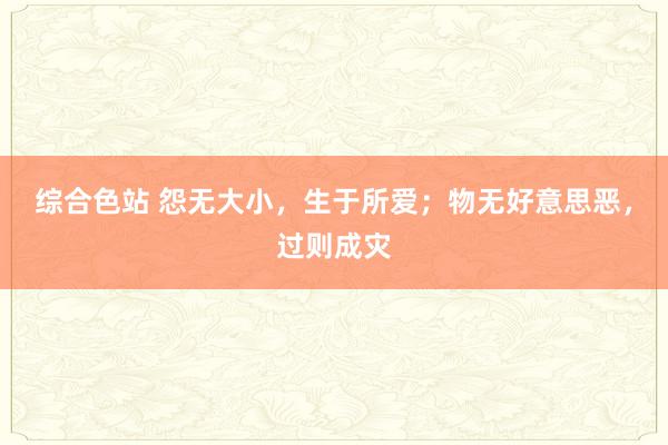 综合色站 怨无大小，生于所爱；物无好意思恶，过则成灾