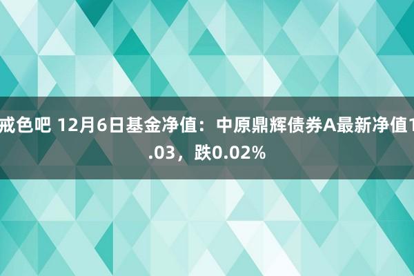 戒色吧 12月6日基金净值：中原鼎辉债券A最新净值1.03，跌0.02%