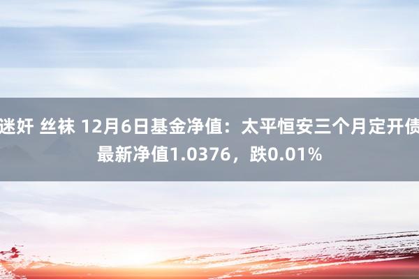 迷奸 丝袜 12月6日基金净值：太平恒安三个月定开债最新净值1.0376，跌0.01%