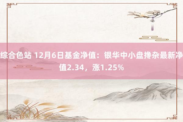 综合色站 12月6日基金净值：银华中小盘搀杂最新净值2.34，涨1.25%