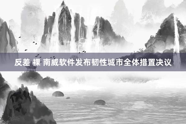 反差 裸 南威软件发布韧性城市全体措置决议