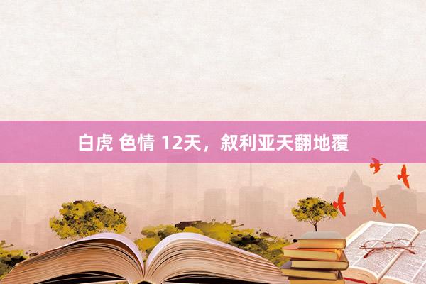 白虎 色情 12天，叙利亚天翻地覆