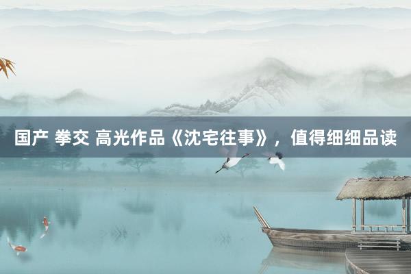 国产 拳交 高光作品《沈宅往事》，值得细细品读