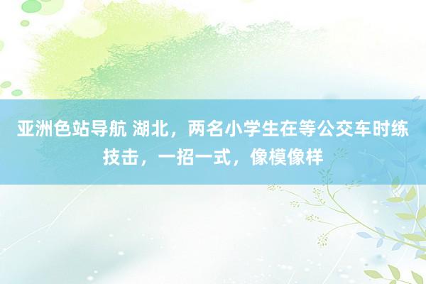 亚洲色站导航 湖北，两名小学生在等公交车时练技击，一招一式，像模像样