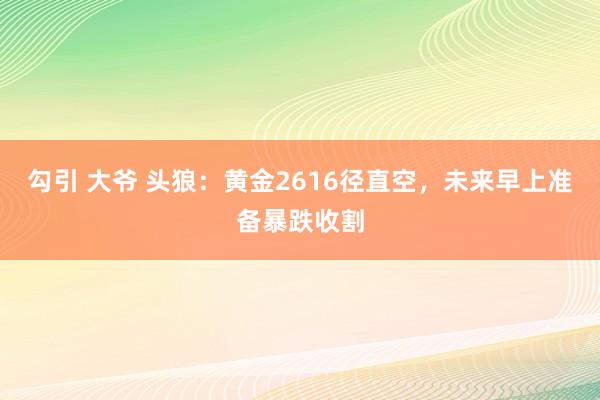 勾引 大爷 头狼：黄金2616径直空，未来早上准备暴跌收割