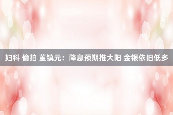 妇科 偷拍 董镇元：降息预期推大阳 金银依旧低多