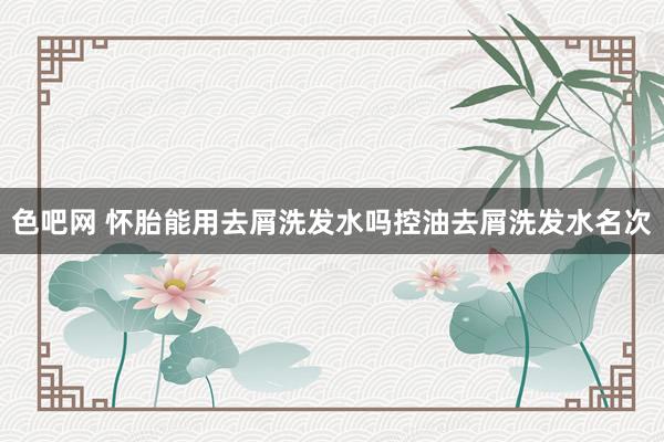 色吧网 怀胎能用去屑洗发水吗控油去屑洗发水名次