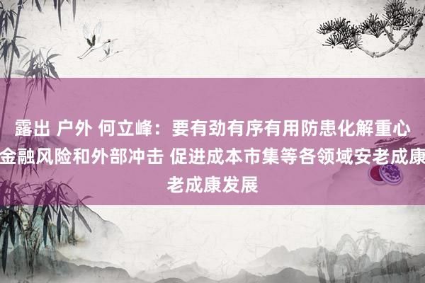 露出 户外 何立峰：要有劲有序有用防患化解重心领域金融风险和外部冲击 促进成本市集等各领域安老成康发展