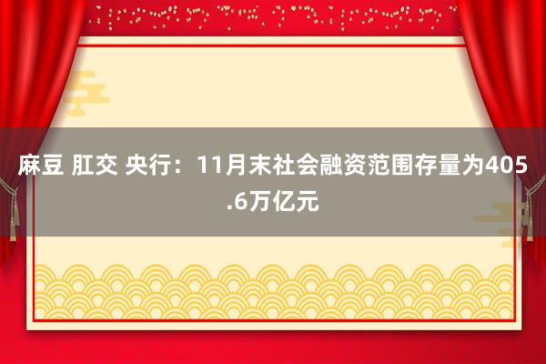 麻豆 肛交 央行：11月末社会融资范围存量为405.6万亿元