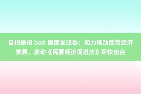 自拍偷拍 bad 国度发改委：加力推动民营经济发展，激动《民营经济促进法》尽快出台