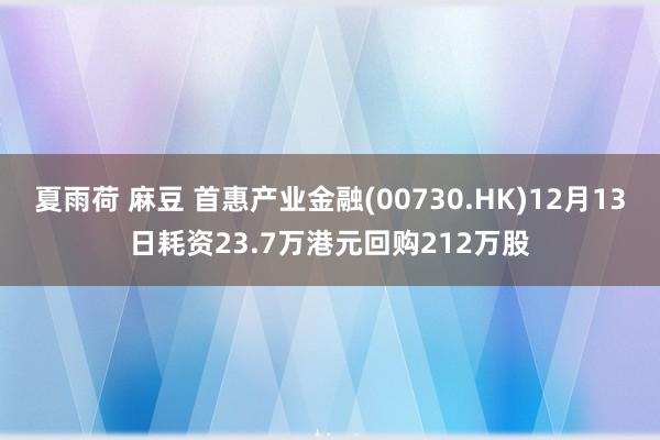 夏雨荷 麻豆 首惠产业金融(00730.HK)12月13日耗资23.7万港元回购212万股