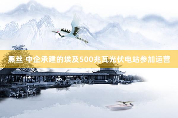 黑丝 中企承建的埃及500兆瓦光伏电站参加运营