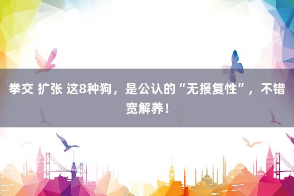 拳交 扩张 这8种狗，是公认的“无报复性”，不错宽解养！