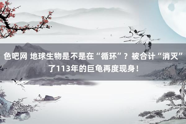 色吧网 地球生物是不是在“循环”？被合计“消灭”了113年的巨龟再度现身！