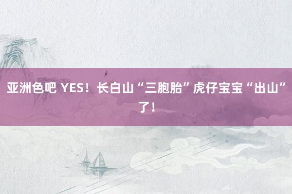 亚洲色吧 YES！长白山“三胞胎”虎仔宝宝“出山”了！