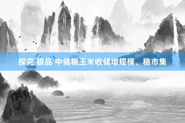 探花 极品 中储粮玉米收储增规模、稳市集