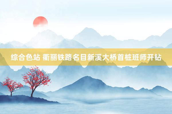 综合色站 衢丽铁路名目新溪大桥首桩班师开钻