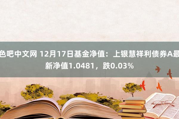 色吧中文网 12月17日基金净值：上银慧祥利债券A最新净值1.0481，跌0.03%