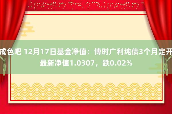 戒色吧 12月17日基金净值：博时广利纯债3个月定开最新净值1.0307，跌0.02%