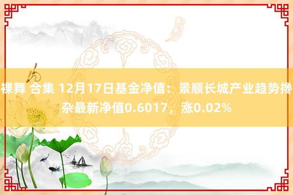 裸舞 合集 12月17日基金净值：景顺长城产业趋势搀杂最新净值0.6017，涨0.02%