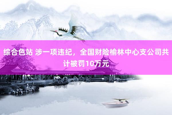 综合色站 涉一项违纪，全国财险榆林中心支公司共计被罚10万元
