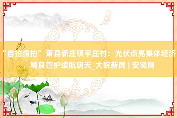 “自拍偷拍” 萧县新庄镇李庄村：光伏点亮集体经济，精良管护续航明天_大皖新闻 | 安徽网