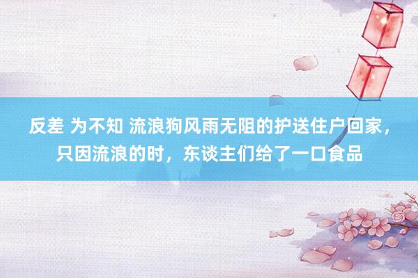 反差 为不知 流浪狗风雨无阻的护送住户回家，只因流浪的时，东谈主们给了一口食品