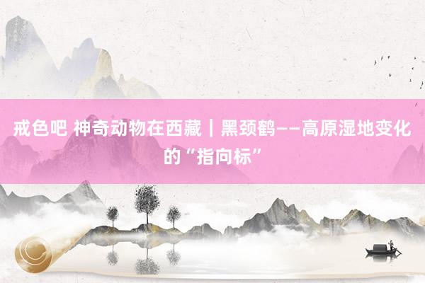 戒色吧 神奇动物在西藏｜黑颈鹤——高原湿地变化的“指向标”