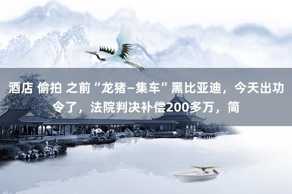 酒店 偷拍 之前“龙猪—集车”黑比亚迪，今天出功令了，法院判决补偿200多万，简