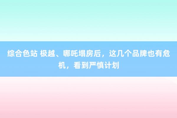 综合色站 极越、哪吒塌房后，这几个品牌也有危机，看到严慎计划