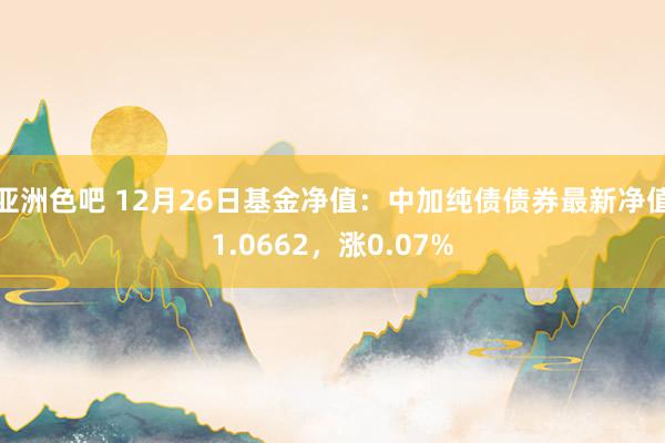 亚洲色吧 12月26日基金净值：中加纯债债券最新净值1.0662，涨0.07%