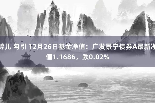 婷儿 勾引 12月26日基金净值：广发景宁债券A最新净值1.1686，跌0.02%