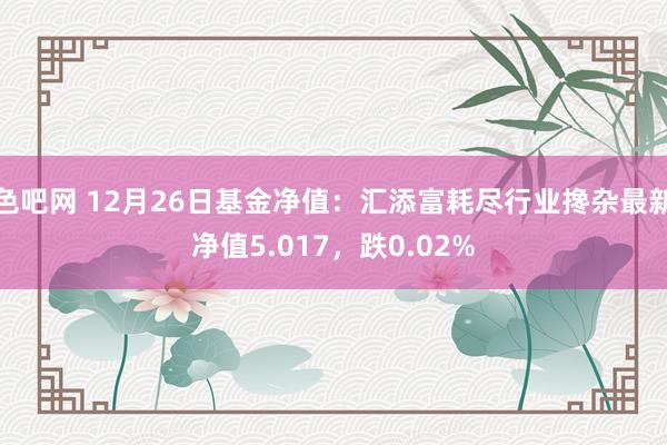 色吧网 12月26日基金净值：汇添富耗尽行业搀杂最新净值5.017，跌0.02%