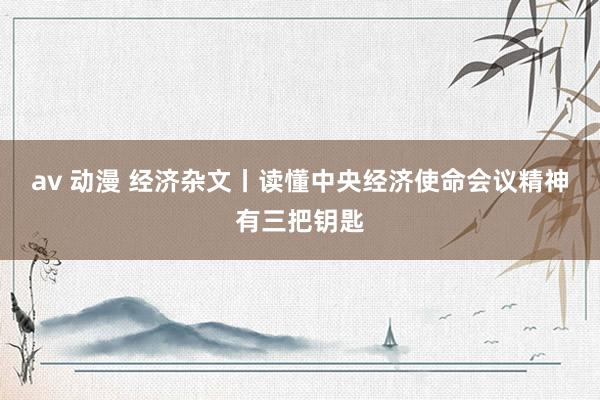 av 动漫 经济杂文丨读懂中央经济使命会议精神有三把钥匙