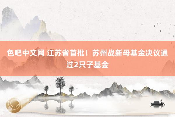 色吧中文网 江苏省首批！苏州战新母基金决议通过2只子基金